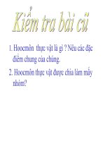 bai 36;PT o TV co hoa