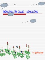 Tiet 28 Vi Pham phap luat