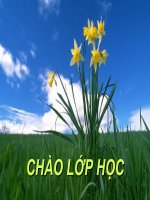 B12.9 Sơ lược Mt ít người VN