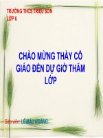 Bài 21: Quang Hợp