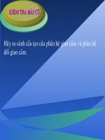 Bài 49 Cơ quan phân tích thị giác