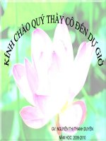 Bài 6- Đơn chất và hợp chất - phân tử - Hóa 8