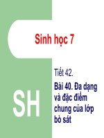 Tiet 42 Da dang va dac diem chung cua lop bo sat