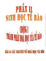 bài 7 các nguyên tố hóa học và nước