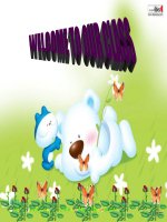 Unit 13 Language focus (Chuan)-11