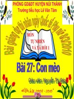 TNXH lớp 1. Bài 27: CON MÈO