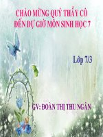 bai 51. da dang cua lop thu