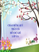 Giáo án Lí 11 - thi GV dạy giỏi vòng tỉnh GDTX