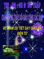 CAC DAN HINH CHU NHAT
