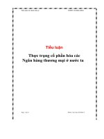 tiểu luận thực trạng cổ phần hóa các ngân hàng thương mại ở nước ta