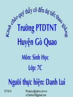 Bộ móng guốc - bộ linh trưởng