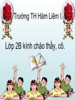 một số loài cây sống trên cạn.