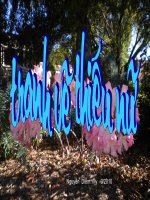 Tranh vẽ  đẹp về thiếu nữ