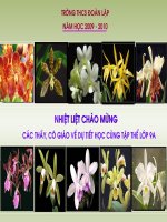 Chuyên đề Ôn tập tứ giác nội tiếp