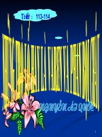 Tiet 113 nhung tro lo