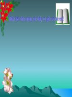 PIV - KHoi nghia Tay Son