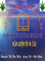 LTVC: Liên kết từ ngữ bằng cách thay thế từ ngữ