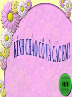 sinh san huu tinh o tv