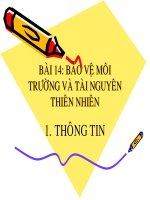 bài 14: Bảo vệ môi trường và tài nguyên thiên nhiên