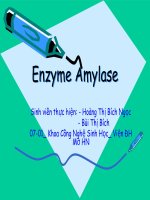 tieu luan enzyme amylase (full)