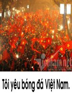 Tôi yêu bóng đá Việt Nam