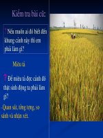 Quan sat tuong tuong, nhan xet va so sanh trong van mieu ta