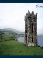 So phan con nguoi NV 12