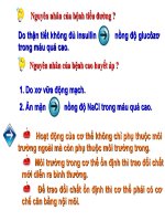 bài 20 cân bằng nôi môi