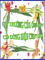 Bai 24: từ trường của ống dây