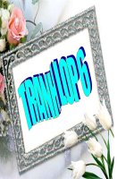 Bộ tranh tiếng Anh 6