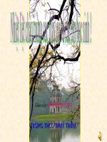 NHUNG CUOC KHOI NGHIA LON VII- IX