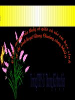 NGLL: RUNG CHUÔNG VÀNG KHỐI LỚP 6