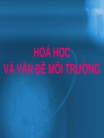 Hoa hoc voi moi truong