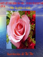 TNXH Bai 48 Qua lop 3