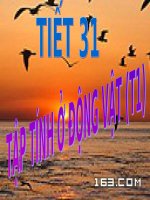 bài 31 tập tính của động vật