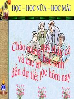 TINH THỂ NGUYÊN TỬ-TINH THỂ PHÂN TỬ