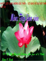 Tập làm văn tuần 29