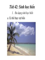 đa dạng sinh học bien