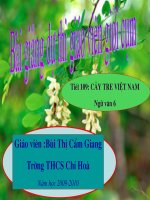 tiet 109 : Cay tre Viet nam