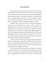 Thiết kế module cấu hình và hiển thị trong thiết bị vô tuyến cấu hình mềm