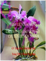 Chuyên đề hay (Tìm sai lầm trong lời giải một số BT đại số 9)