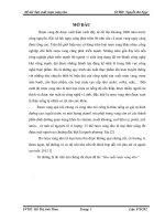 Đề tài sản xuất rượu vang nho