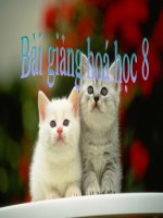 tiet 57-axit-bazo-muoi