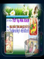 Nhan biet SL9,Nhan biet so 9 ( CD: Tet và mua xuan)