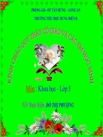 KH-5. Sự sinh sản của ếch