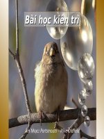 Bài học về sự kiên trì