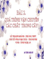 bài 2 quá trình vận chuyển các chất trong cây
