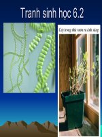 Tranh sinh hoc 6.2