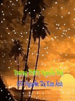 Bài 24 Khởi nghĩa nông dân Đàng Ngoài thế kỉ XVIII