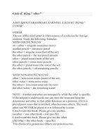 cách sử dụng other